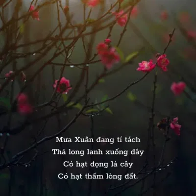 Những bài thơ về mùa xuân hay, lãng mạn, thơ chào tháng 1 yêu thương (Ảnh: Internet)