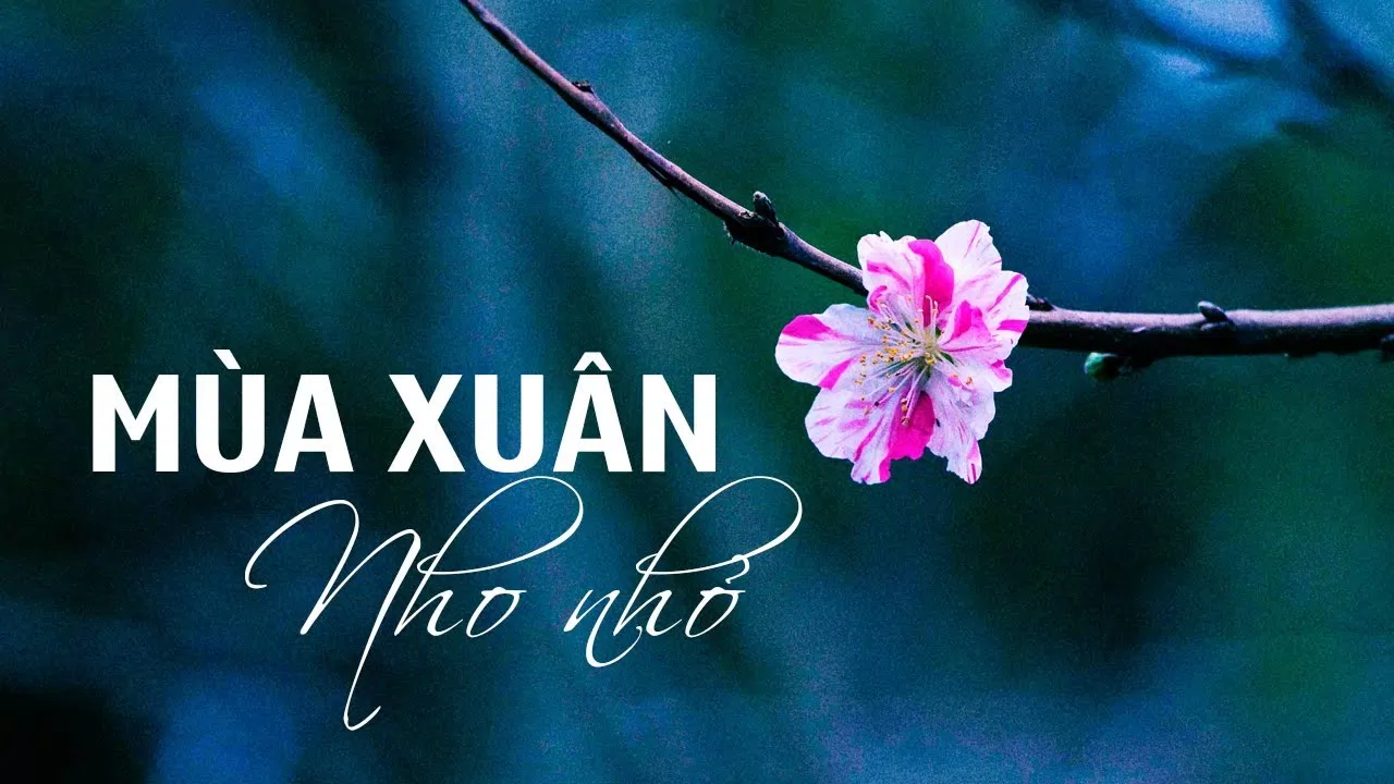 bài thơ về mùa xuân hay, lãng mạn, thơ chào tháng 1 yêu thương