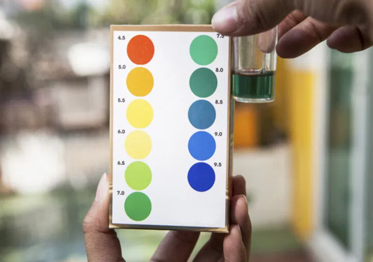 Bất ngờ chưa? Ngạc nhiên chưa? (Ảnh: Internet)