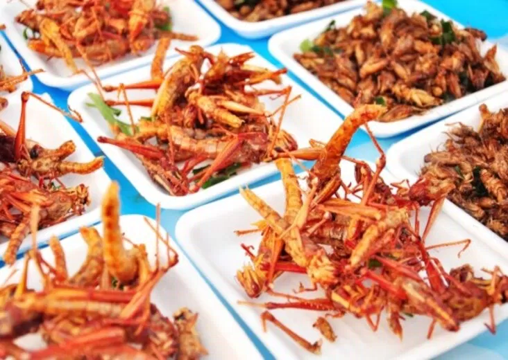 Các sản phẩm lương thực kì lạ như trong phim khoa học viễn tưởng đang ở rất gần chúng ta (Ảnh: Internet) Các sản phẩm lương thực kì lạ như trong phim khoa học viễn tưởng đang ở rất gần chúng ta (Ảnh: Internet)