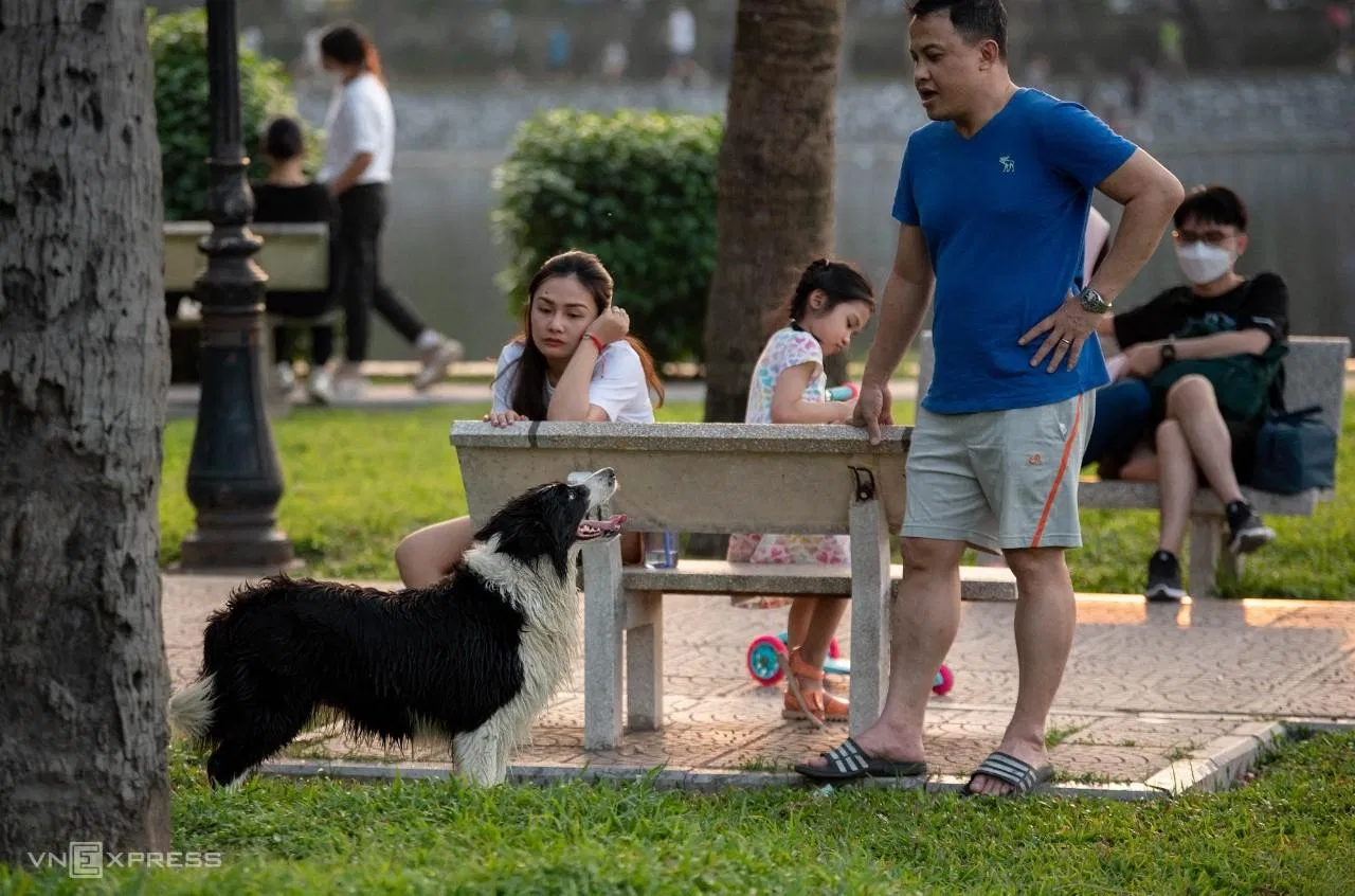 Vận động cho chó (Nguồn: Internet) Vận động cho chó (Nguồn: Internet)