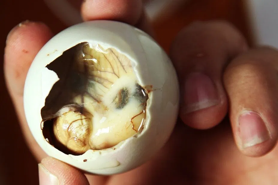 Bạn có gan nếm thử những món này không? (Ảnh: Internet)