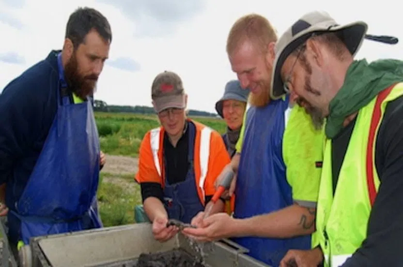 Bạn đã nghe về chế độ ăn này bao giờ chưa? (Ảnh: Internet)