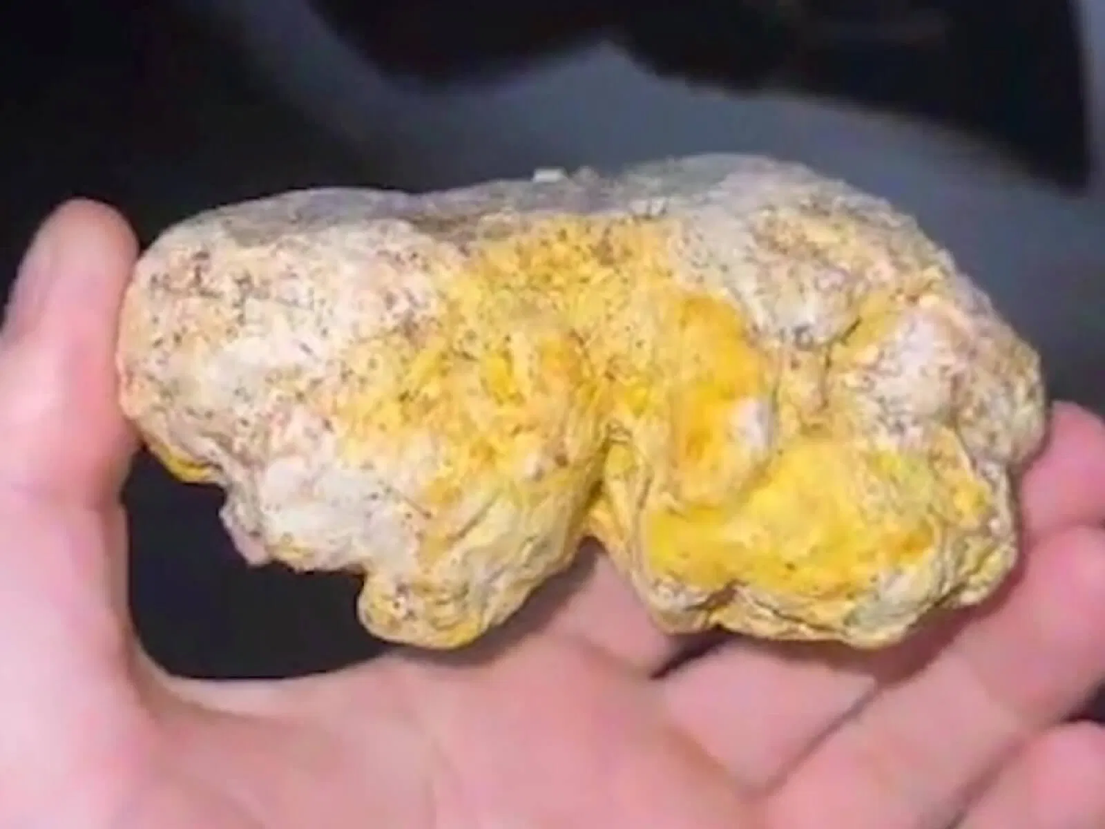 Có những món ăn cổ đại thực sự trường tồn với thời gian (Ảnh: Internet)