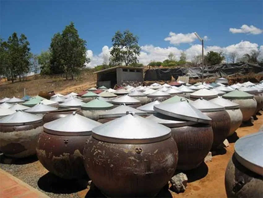 Nước mắm Phan Thiết - Đặc sản biển ai cũng nên thử một lần (Ảnh: Internet)