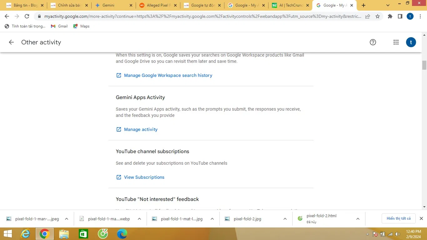Người dùng có thể ngăn chặn Gemini thu thập dữ liệu bằng cách tắt tính năng Gemini Activity (Ảnh: Internet)