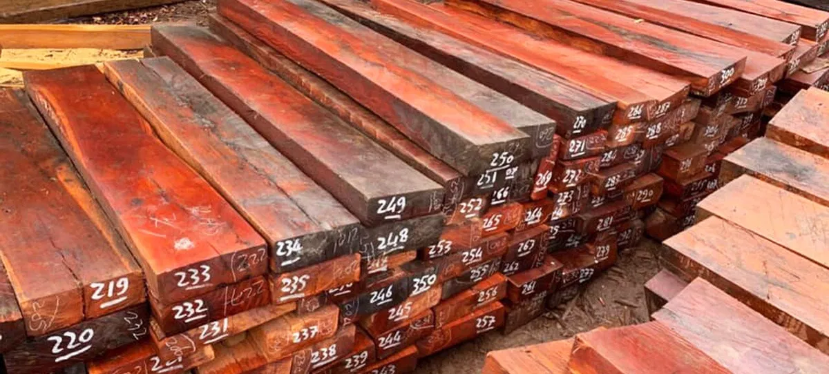 Gỗ căm xe - "đệ nhất gỗ" dùng để chế tác thành những đồ gỗ nội thất, mỹ nghệ có tính thẩm mỹ cao (ảnh: Internet) Gỗ căm xe - "đệ nhất gỗ" dùng để chế tác thành những đồ gỗ nội thất, mỹ nghệ có tính thẩm mỹ cao (ảnh: Internet)