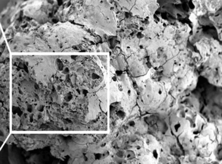 Tuổi tác của những loại thực phẩm này lên đến hàng nghìn năm (Ảnh: Internet)