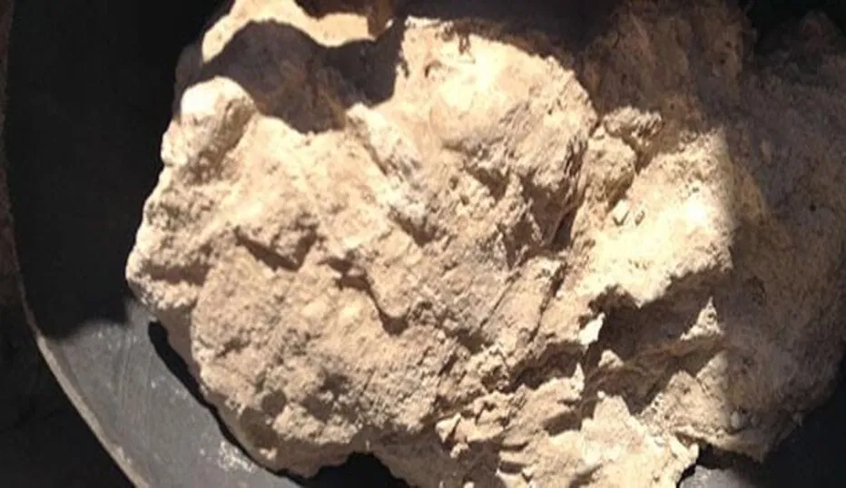 Tuổi tác của những loại thực phẩm này lên đến hàng nghìn năm (Ảnh: Internet)