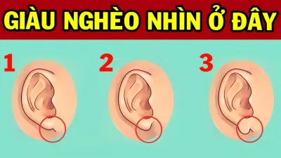 Các cách xem tướng tai trong nhân tướng học (Ảnh: Internet) Các cách xem tướng tai trong nhân tướng học (Ảnh: Internet)