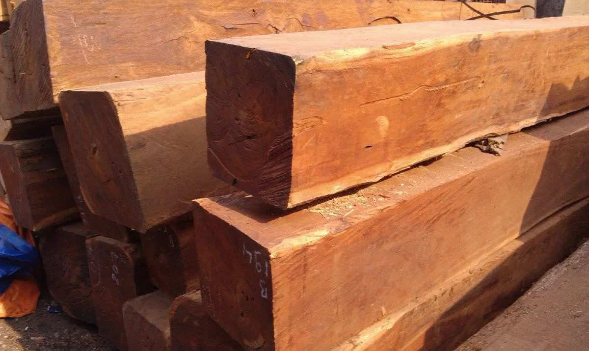 Gỗ căm xe - "đệ nhất gỗ" dùng để chế tác thành những đồ gỗ nội thất, mỹ nghệ có tính thẩm mỹ cao (ảnh: Internet) Gỗ căm xe - "đệ nhất gỗ" dùng để chế tác thành những đồ gỗ nội thất, mỹ nghệ có tính thẩm mỹ cao (ảnh: Internet)