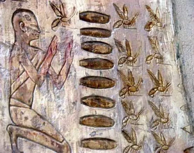 Thế giới ẩm thực có rất nhiều thông tin thú vị (Ảnh: Internet)