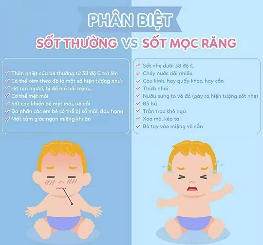 Trẻ bị sốt mọc răng - dấu hiệu nhận biết và cách chăm sóc để trẻ nhanh khỏi (ảnh: Internet)