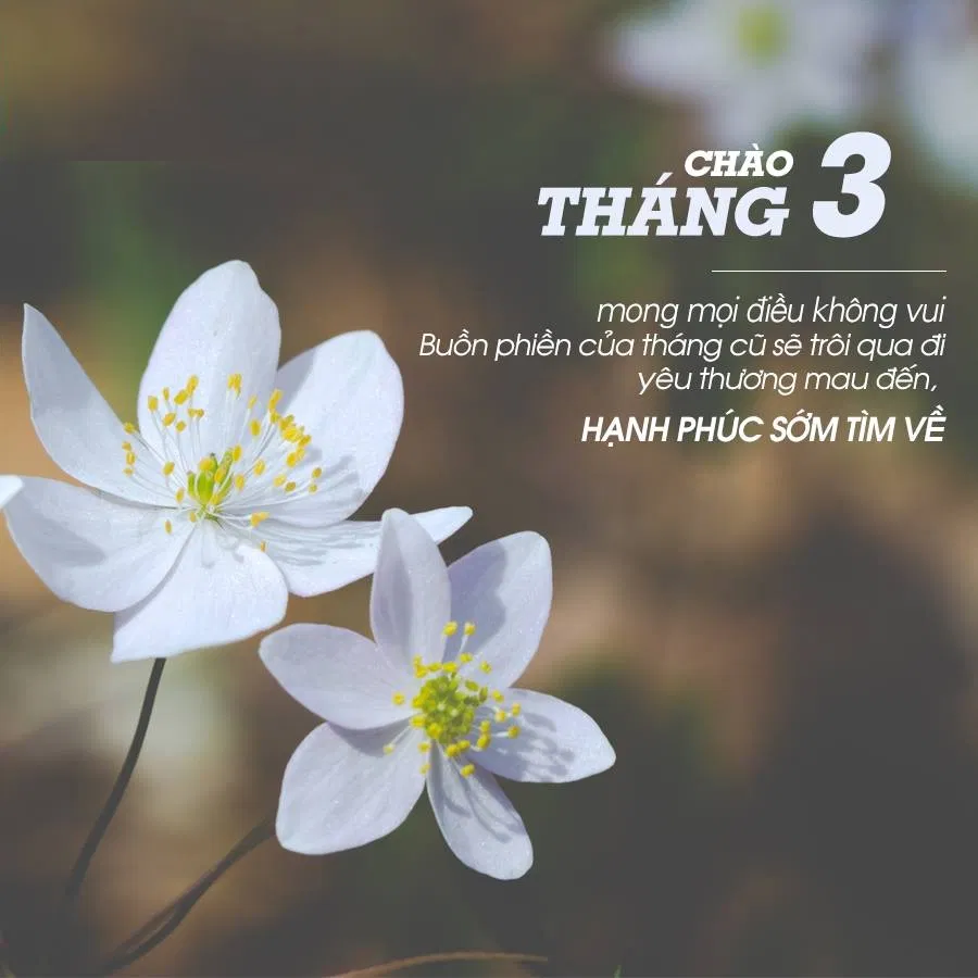 stt chào tháng 3, bài thơ tháng 3 hay, lãng mạn đón xuân sang