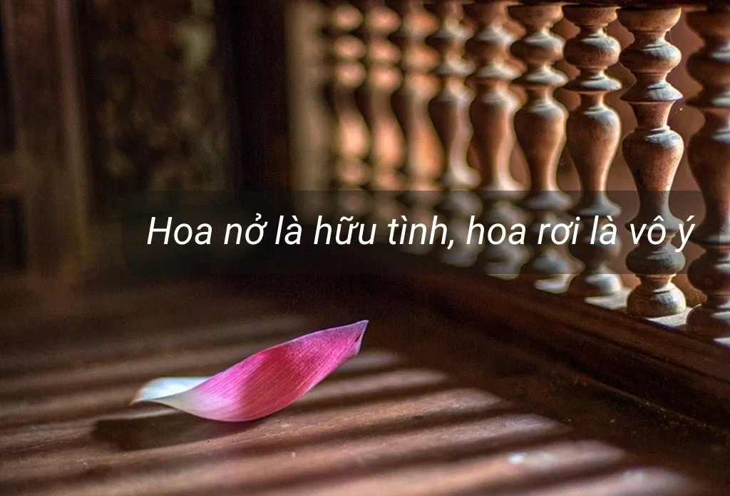 Stt đi chùa cầu duyên, thả thính