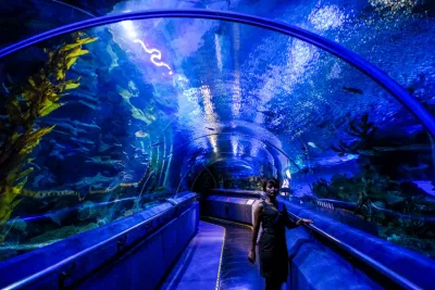 Tham quan Thủy cung KLCC (Ảnh: Internet) Tham quan Thủy cung KLCC (Ảnh: Internet)