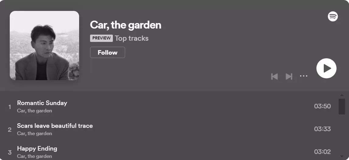 Playlist Spotify của Car, the garden. Ảnh: Internet.