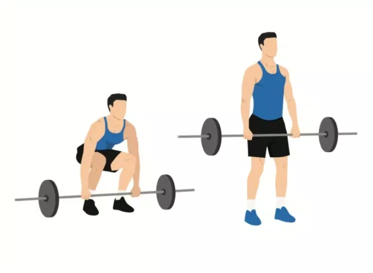 Deadlift với tạ (Ảnh: Internet)