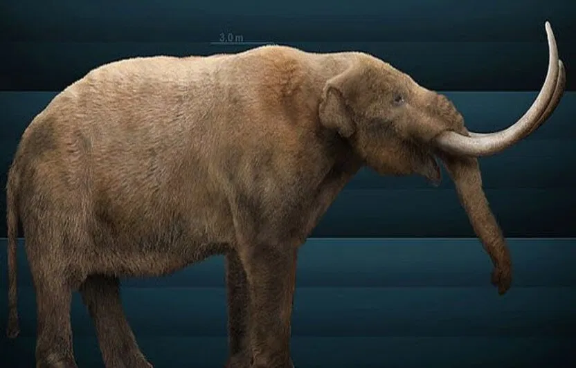 Bí ngô là loại quả biểu tượng của mùa thu (Ảnh: Internet)