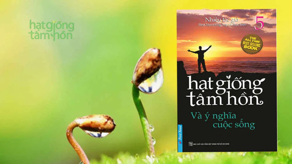Bộ sách “Hạt giống tâm hồn” (Nguồn: Internet)
