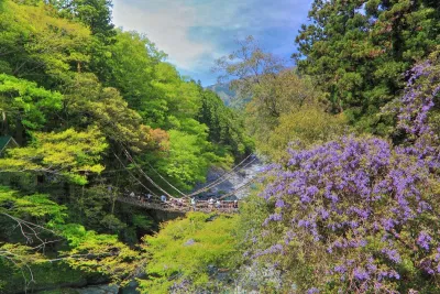Tokushima - "Iya" nằm ở ngọn núi sâu bao quanh bởi cây xanh. Nơi này được chọn là một trong ba nơi bí mật nhất ở Nhật Bản, là nơi quý giá để trải nghiệm sự xuất hiện mà con người và thiên nhiên hòa trộn với nhau. (Ảnh: Internet) Tokushima - "Iya" nằm ở ngọn núi sâu bao quanh bởi cây xanh. Nơi này được chọn là một trong ba nơi bí mật nhất ở Nhật Bản, là nơi quý giá để trải nghiệm sự xuất hiện mà con người và thiên nhiên hòa trộn với nhau. (Ảnh: Internet)