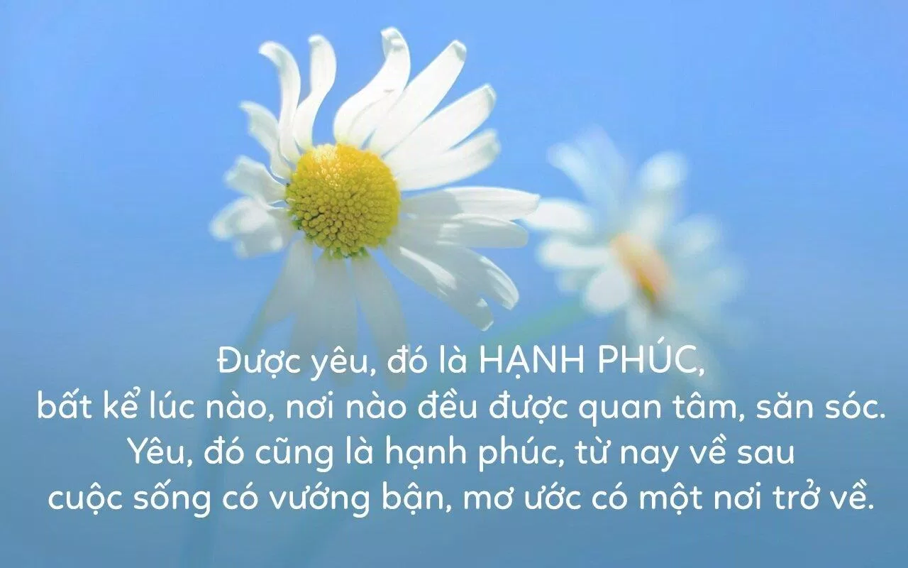 Những câu nói hay về tình yêu hạnh phúc