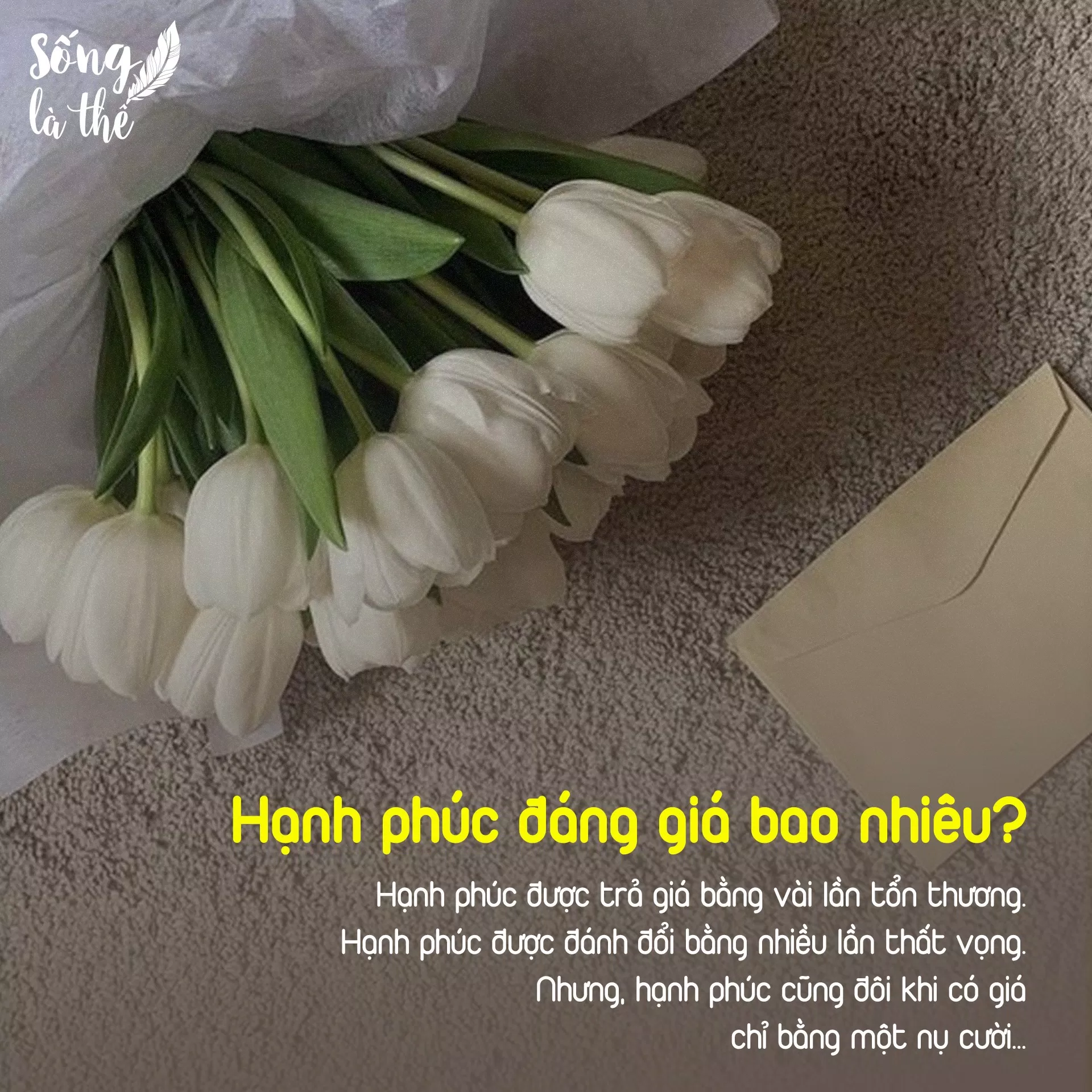 Stt hay về hạnh phúc là "kim chỉ nam" cho cuộc sống (Ảnh: Internet)