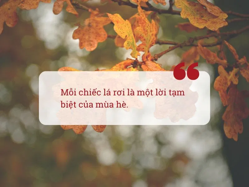 Những câu nói hay về mùa thu lãng mạn