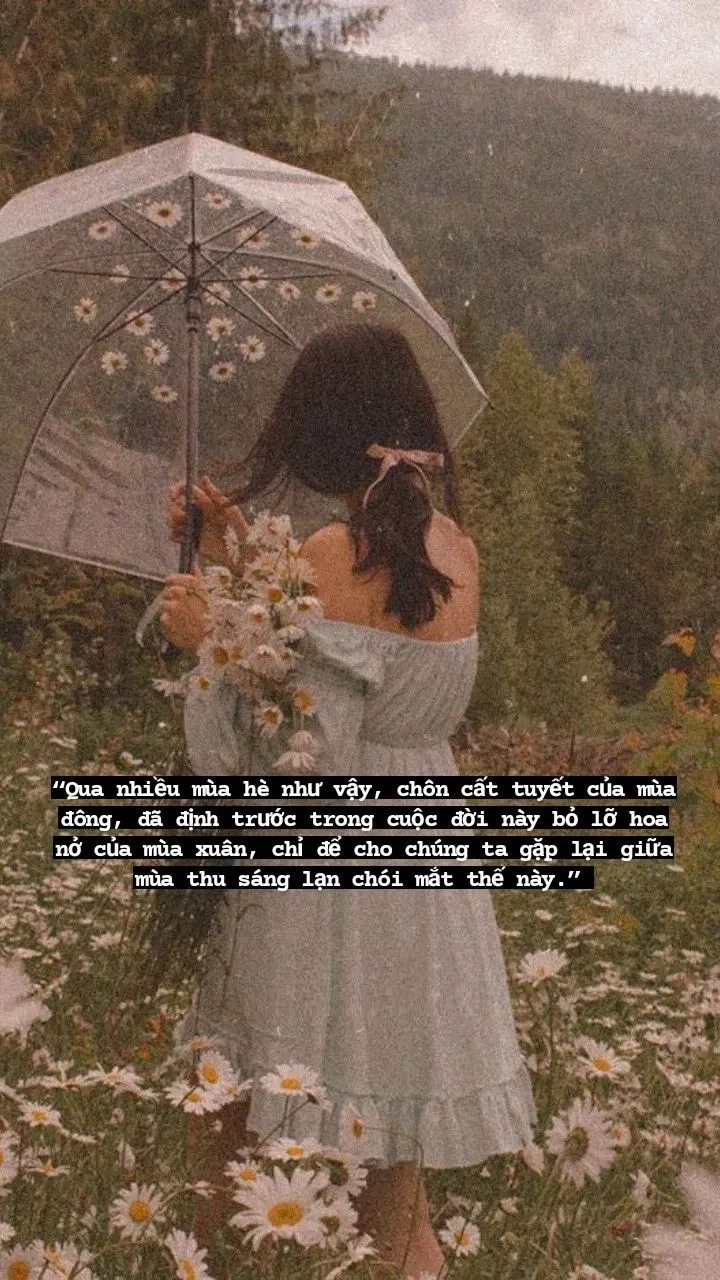 Những câu nói hay về mùa thu tình yêu