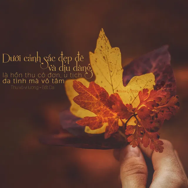 Thơ về mùa thu hay nhất (Ảnh: Internet)