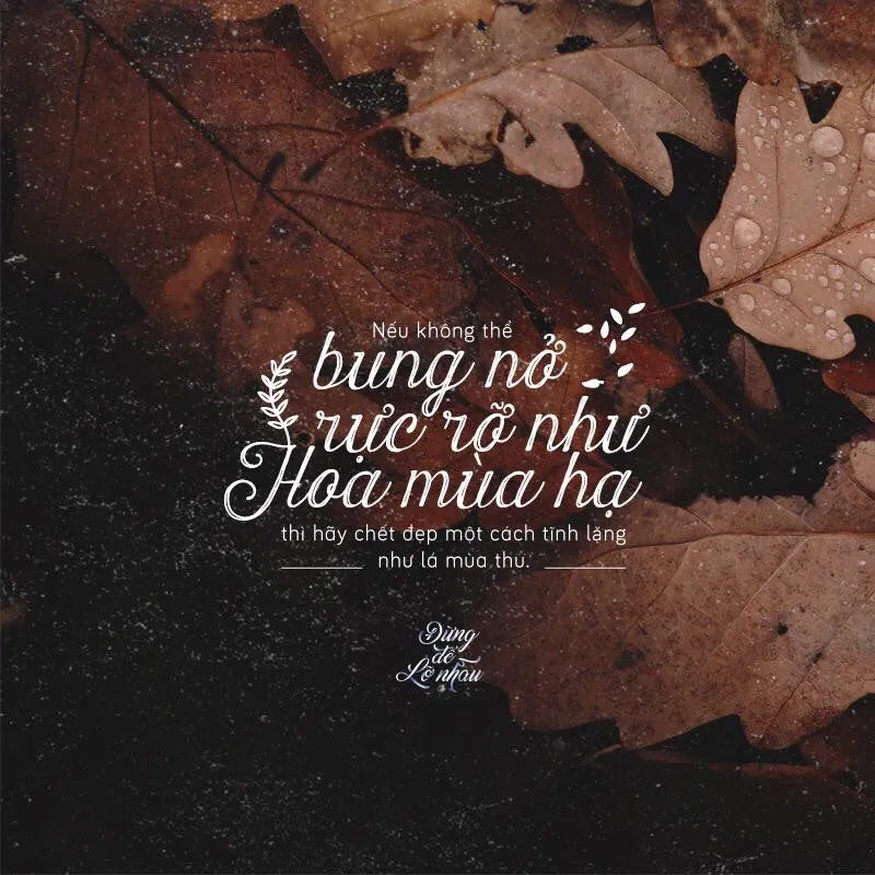 Thơ về mùa thu hay nhất (Ảnh: Internet) Thơ về mùa thu hay nhất (Ảnh: Internet)