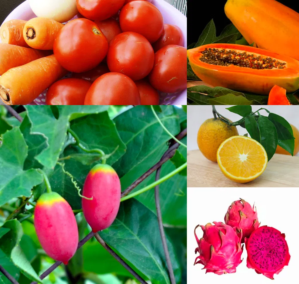 Chế độ dinh dưỡng cho chào mào (Nguồn: Internet) Chế độ dinh dưỡng cho chào mào (Nguồn: Internet)