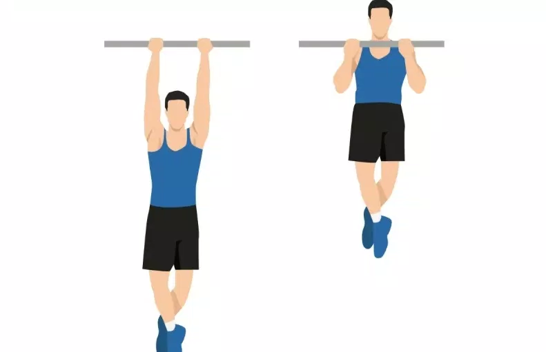 Bài tập chin-up (Ảnh: Internet)