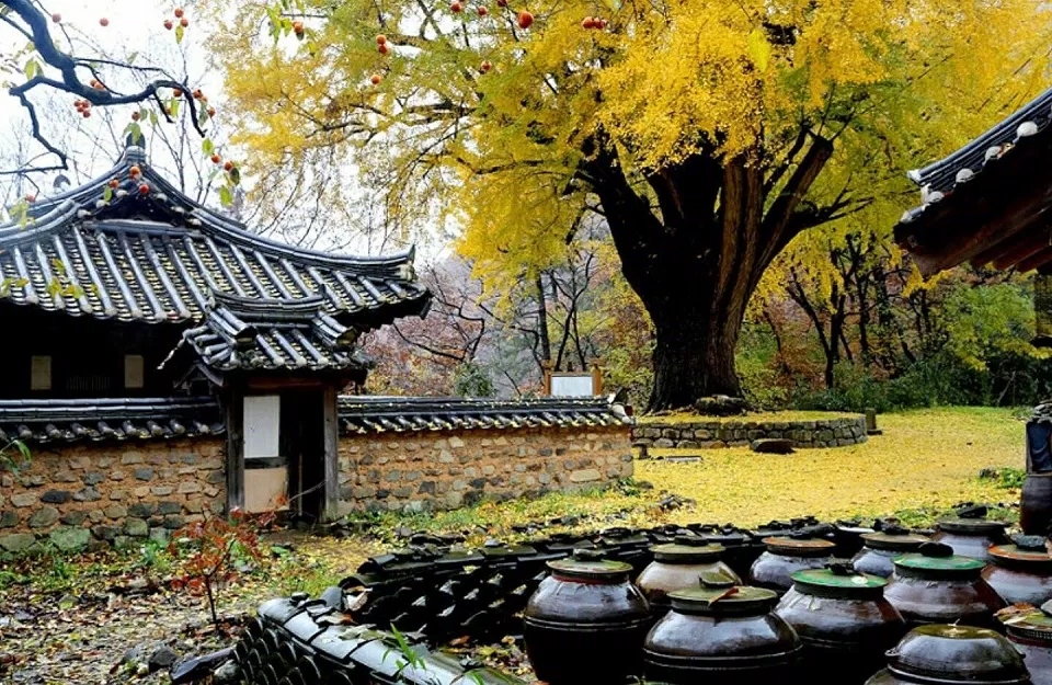Cố đô Gyeongju - nơi lưu giữ tinh hoa một triều đại (Nguồn: Internet)