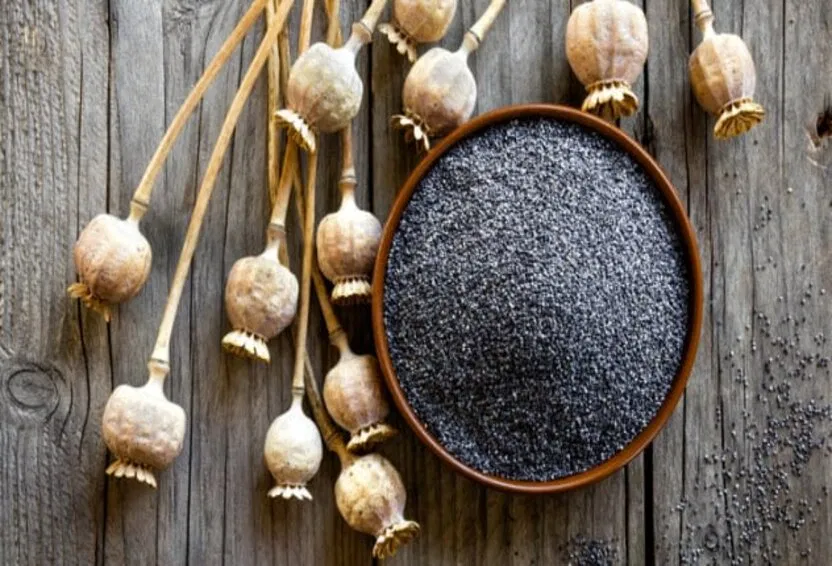 Loại thực phẩm này từng được coi là có ma thuật bên trong (Ảnh: Internet) Loại thực phẩm này từng được coi là có ma thuật bên trong (Ảnh: Internet)