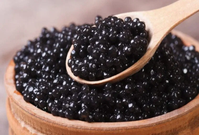 Con người ăn trứng của rất nhiều loài chứ không phải mỗi gia cầm đâu nhé (Ảnh: Internet)