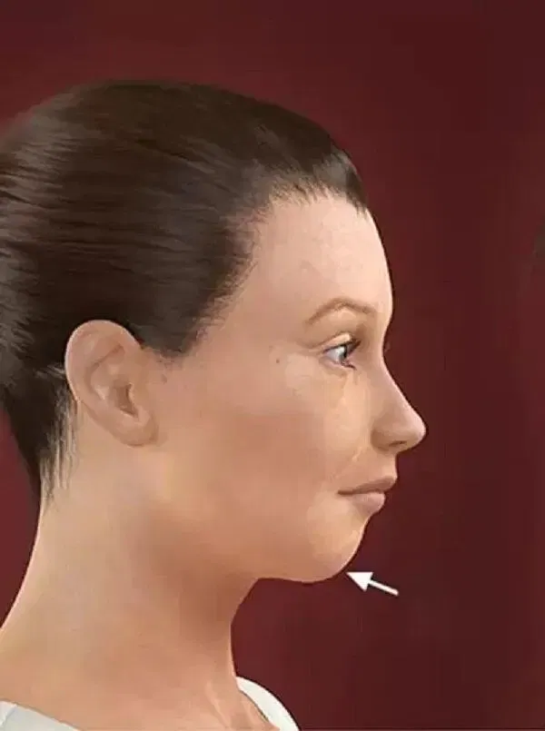 Nhân tướng học khuôn mặt, xem tướng cằm dự đoán vận số mỗi người (Ảnh: Internet)