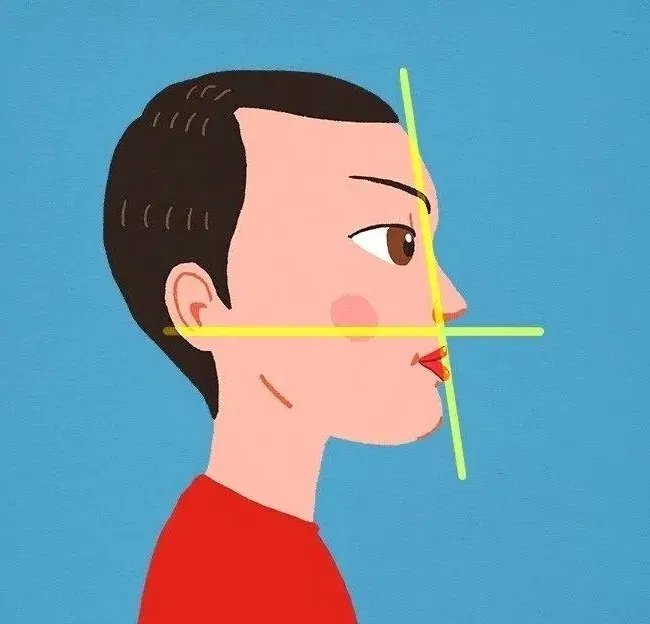 Nhân tướng học khuôn mặt, xem tướng cằm dự đoán vận số mỗi người (Ảnh: Internet)