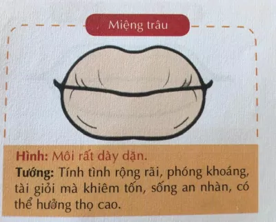 Nhìn tướng miệng đàn ông, phụ nữ đoán tính cách, vận mệnh tốt xấu cực chuẩn (Ảnh: Internet) Nhìn tướng miệng đàn ông, phụ nữ đoán tính cách, vận mệnh tốt xấu cực chuẩn (Ảnh: Internet)
