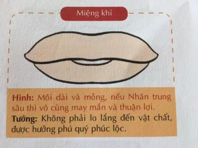 Nhìn tướng miệng đàn ông, phụ nữ đoán tính cách, vận mệnh tốt xấu cực chuẩn (Ảnh: Internet) Nhìn tướng miệng đàn ông, phụ nữ đoán tính cách, vận mệnh tốt xấu cực chuẩn (Ảnh: Internet)