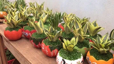 Phong thủy cây lưỡi mèo, có khả năng trừ tà, diệt quỷ, bảo vệ chủ nhân khỏi hiểm nguy, tai ương (ảnh: Internet) Phong thủy cây lưỡi mèo, có khả năng trừ tà, diệt quỷ, bảo vệ chủ nhân khỏi hiểm nguy, tai ương (ảnh: Internet)