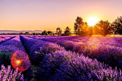 Provence - Thành phố mộng mơ trong lòng nước Pháp (Nguồn: Internet) Provence - Thành phố mộng mơ trong lòng nước Pháp (Nguồn: Internet)