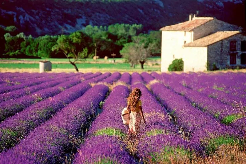 Provence - Thành phố mộng mơ trong lòng nước Pháp (Nguồn: Internet) Provence - Thành phố mộng mơ trong lòng nước Pháp (Nguồn: Internet)