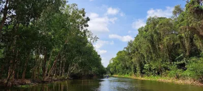 Rừng nguyên sinh bạt ngàn tại Khu du lịch Mùa Xuân