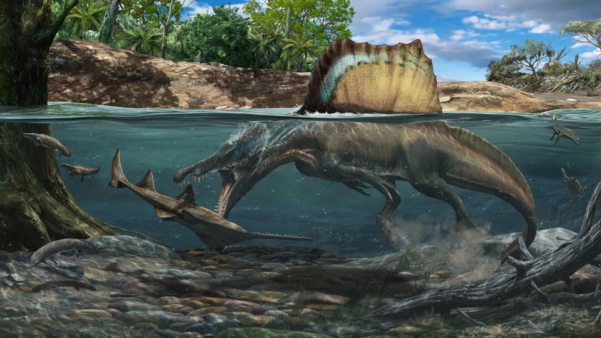 Spinosaurus - quái vật gây tranh cãi nhất lịch sử (Nguồn: Internet) Spinosaurus - quái vật gây tranh cãi nhất lịch sử (Nguồn: Internet)