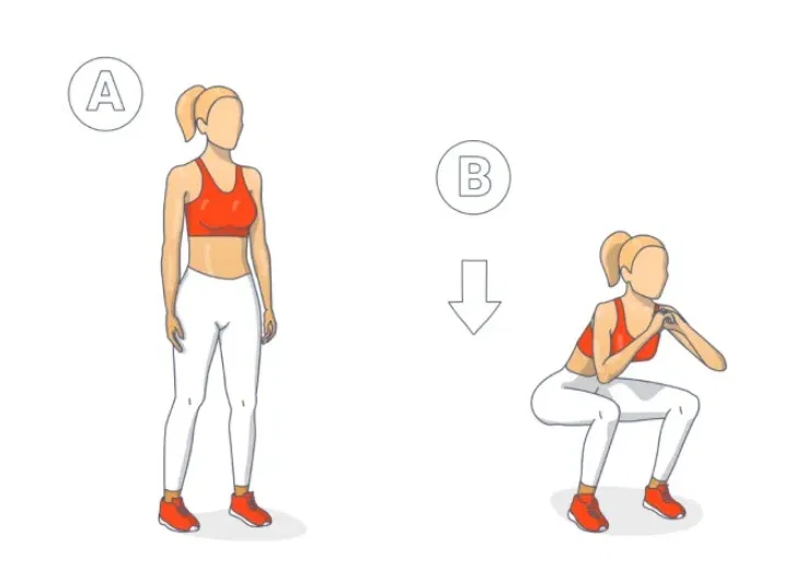 Động tác squat (Ảnh: Internet) Động tác squat (Ảnh: Internet)