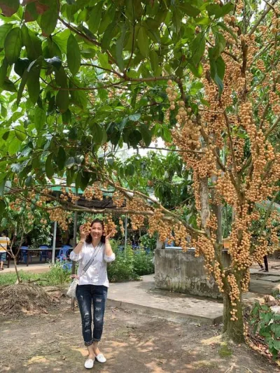 Mùa dâu chín tại Vườn dâu Thiên Ân