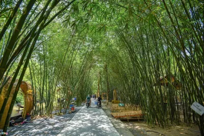 Khung cảnh yên bình thơ mộng tại vườn tre Tư sang