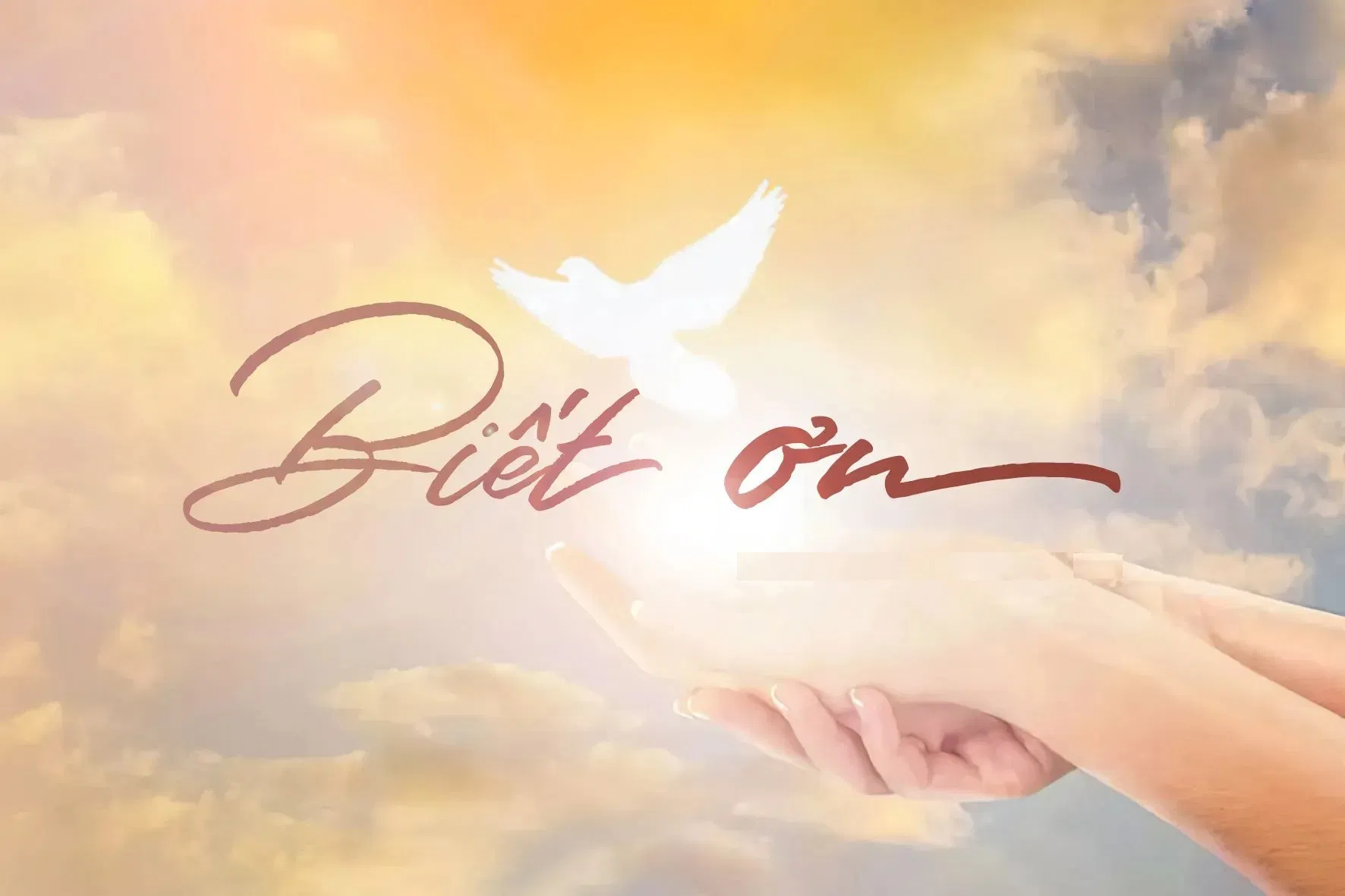 Lòng biết ơn là gì?