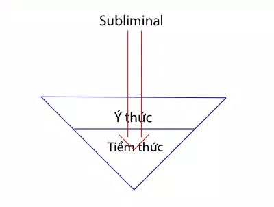 Tiềm thức và ý thức